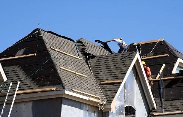 Roof Gutter Cleaning in Lake Leann, MI
