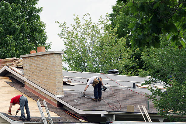 Best Emergency Roof Repair  in Lake Leann, MI