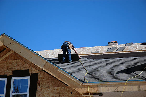 Best Flat Roof Repair Services  in Lake Leann, MI