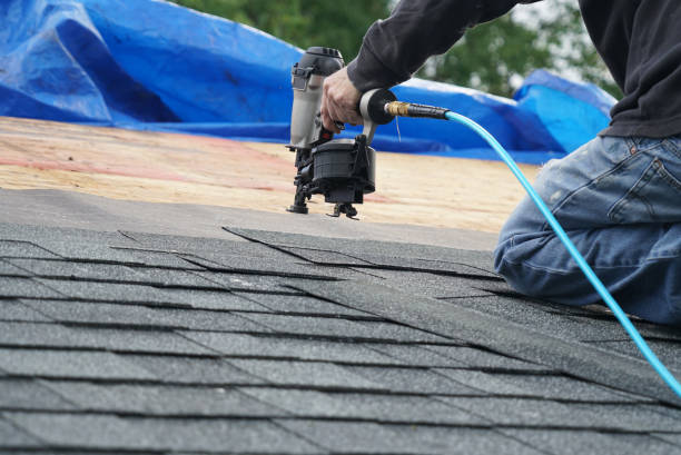 Best Roof Maintenance Services  in Lake Leann, MI
