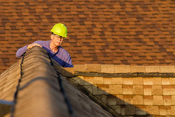 Best Metal Roofing Contractor  in Lake Leann, MI