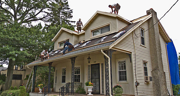 Best Shingle Roofing Installation  in Lake Leann, MI