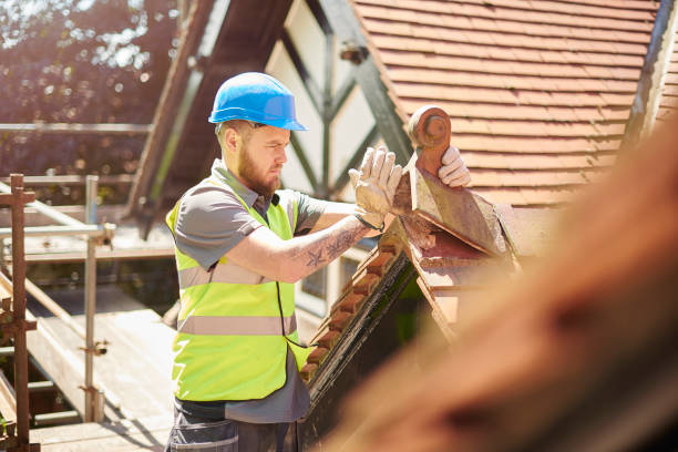 Best Roof Maintenance Services  in Lake Leann, MI