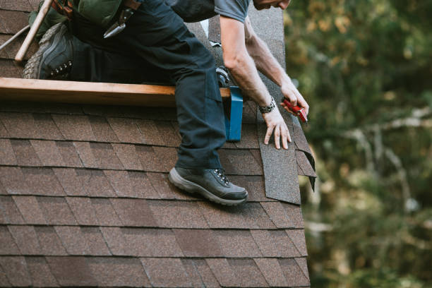 Best Roof Gutter Cleaning  in Lake Leann, MI